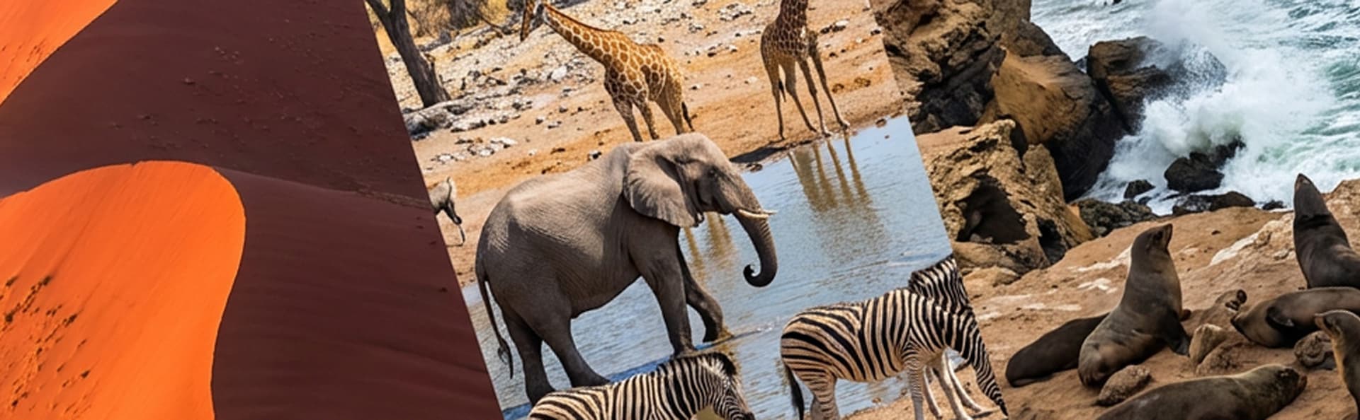 About Namibian Hotels